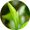 轻松传导