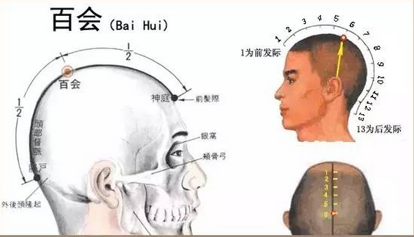 百会穴