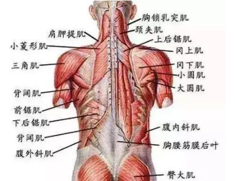 锤正疗法,锤正疗法工具,锤正疗法培训