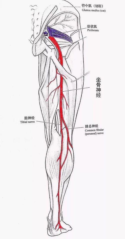 锤击疗法,锤击疗法工具,锤击来哦发培训