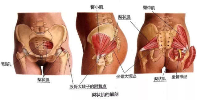 锤击疗法,锤击疗法工具,锤击疗法培训
