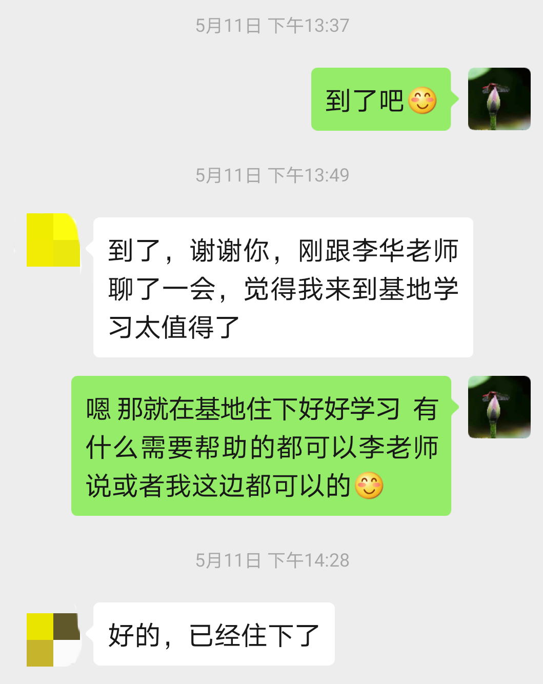 锤正疗法,锤正疗法工具,锤正疗法培训