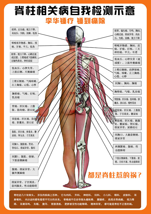 锤正疗法,锤正疗法工具,锤正疗法培训