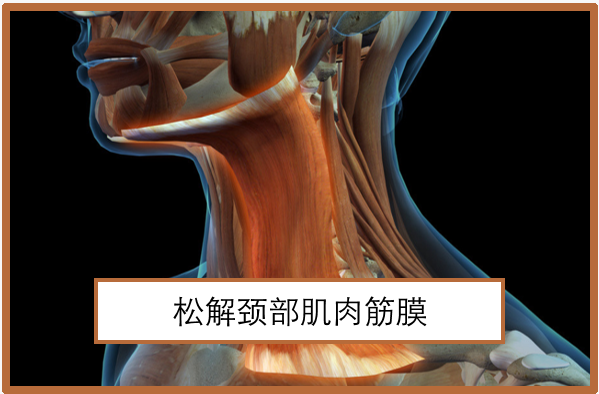 锤正疗法,锤击疗法,锤凿疗法,筋膜
